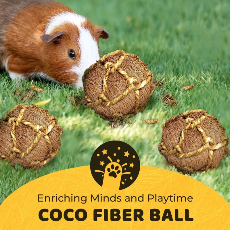 SunGrow Guinea Pig Coconut Fiber Balls, Improves Oral Wellness, Environment Friendly, Stress Reliever, Ideal for Chew Item for Rabbits, Chinchilla & Kitten (3 Pieces) - Image 4